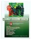 Uniquely You: Discovering Membership & Ministry (23 Spiritual Gifts) Spanish