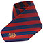 Formal Uniform Tie