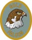 Discovery Rangers Trail Patch - Gold Falcon