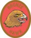 Discovery Rangers Advancement Patch - Bronze Hawk