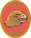 Discovery Rangers Trail Patch - Gold Hawk