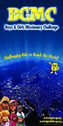 BGMC World Image Banner