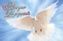 Prayer Request Cards