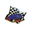 Ranger Derby Lapel Pin