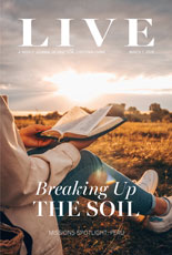 LIVE Spring