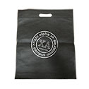 Chi Alpha Literature Bag