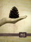 Church Health BootCamp Student Journal